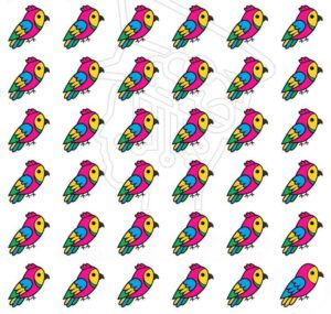 Hidden different bird in 6