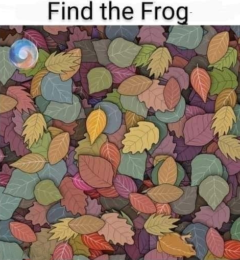Dry Leaf Frog Puzzle